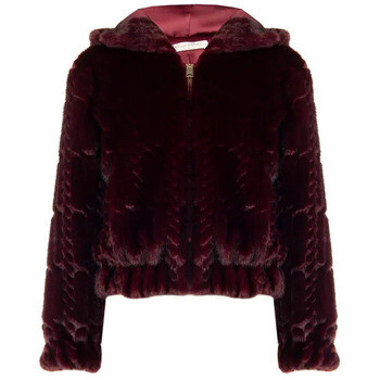 Rinascimento  CFC0126891003  Bordó