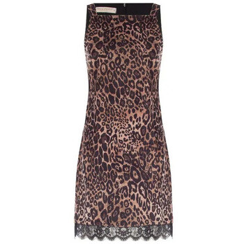 Rinascimento  CFC0127617003  ruznobarevne