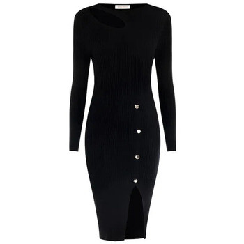 Rinascimento  CFM0011972003  ruznobarevne