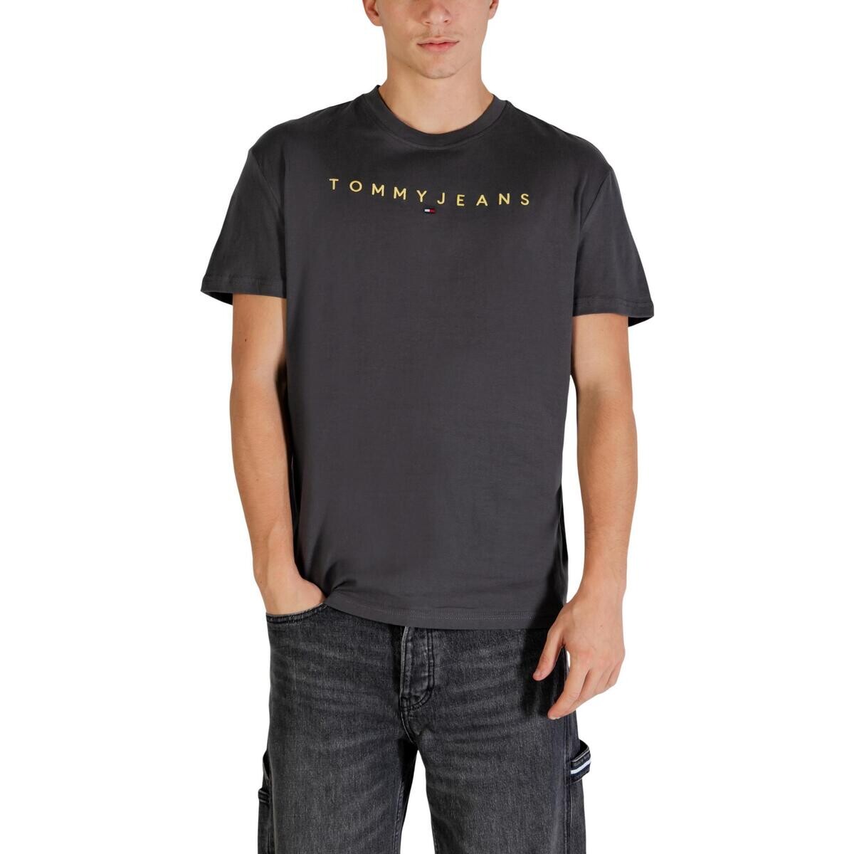 Tommy Hilfiger  TJM REG LINEAR LOGO DM0DM20744  Šedá