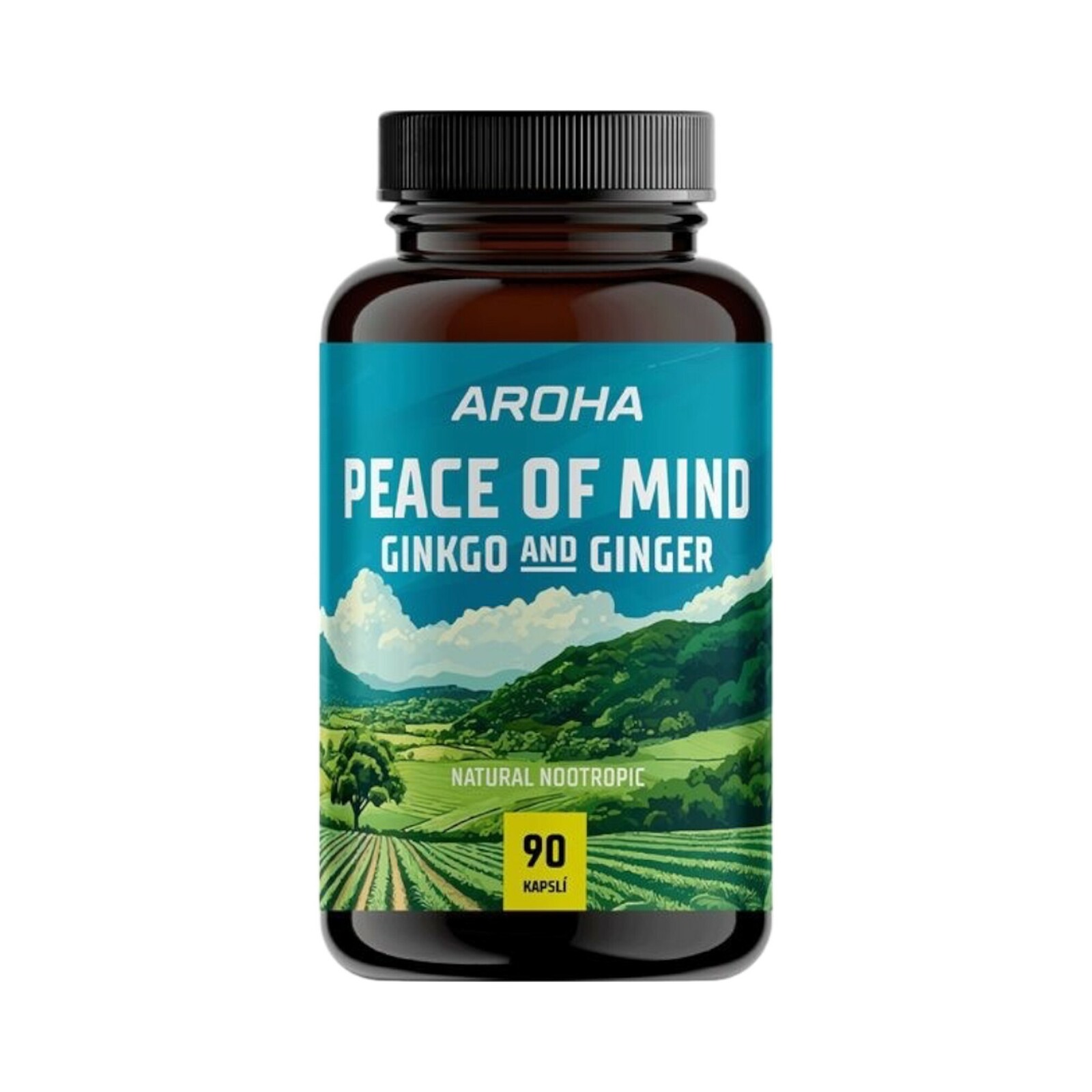 Aroha Ginkgo & Ginger 90 kapslí