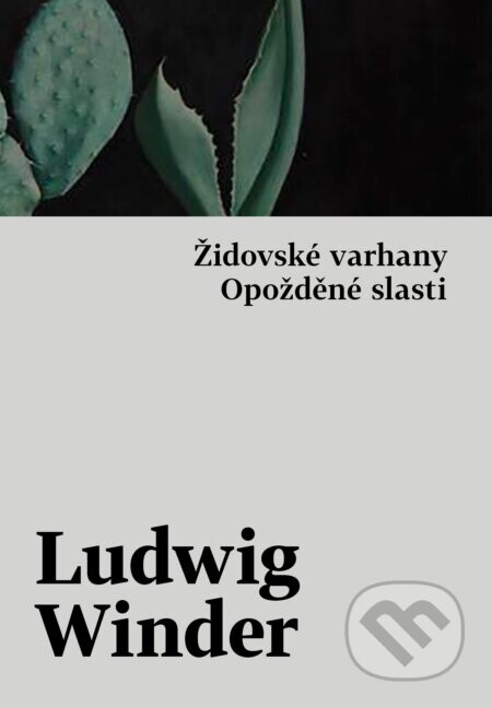 Opožděné slasti, Židovské varhany