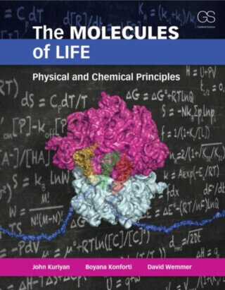 The Molecules of Life - Boyana Konforti, John Kuriyan, David Wemmer