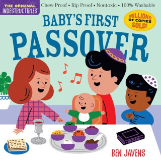 Indestructibles: Babyâ€™s First Passover - Amy Pixton