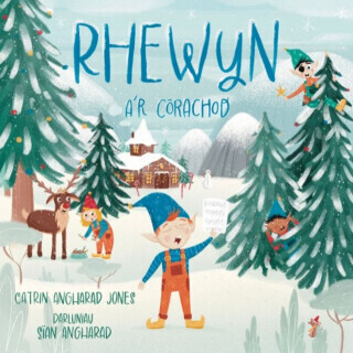 Rhewyn - Catrin Angharad Jones