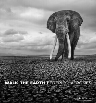 Walk the Earth - Federico Veronesi