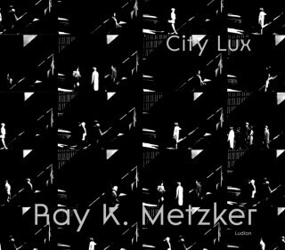 Ray K. Metzker: City Lux - Carrie Springer
