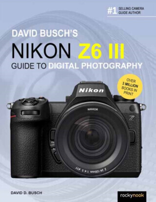 David Busch's Nikon Z6 III Guide to Digital Photography - David Busch