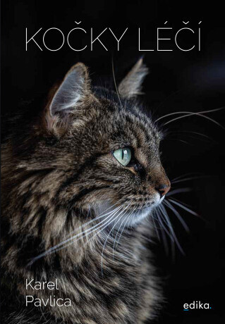 Kočky léčí - Karel Pavlica - e-kniha