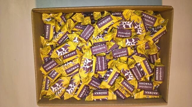 Inpol Oblíbený Inpol Fudge 3 kg