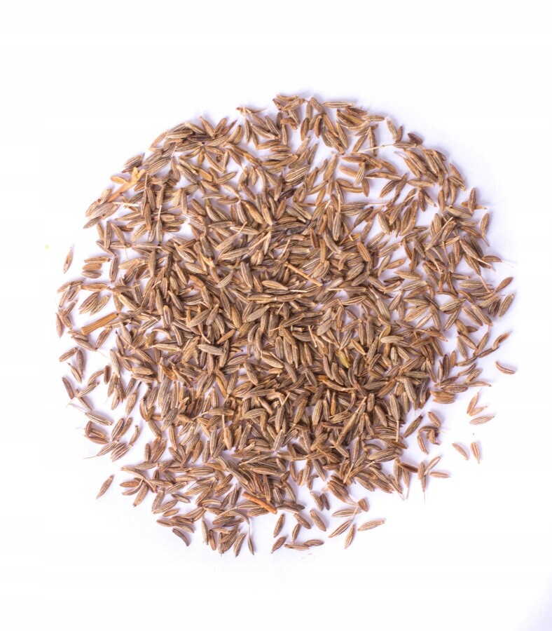 Římský kmín Kumin kvalita až 1 kg