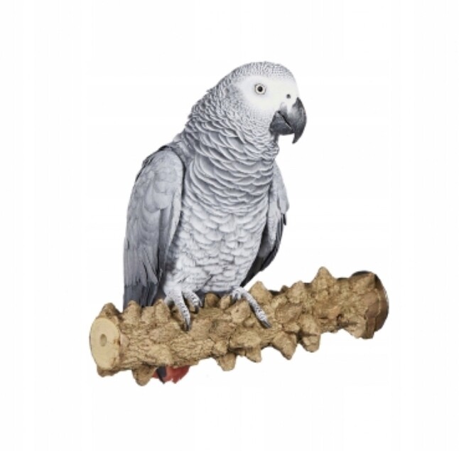 Žerď pro papoušky z pepřového dřeva XL pro velké papoušky vel 35 x 2,5 cm