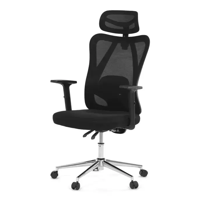Autronic Kancelářská židle KA-R216 BK