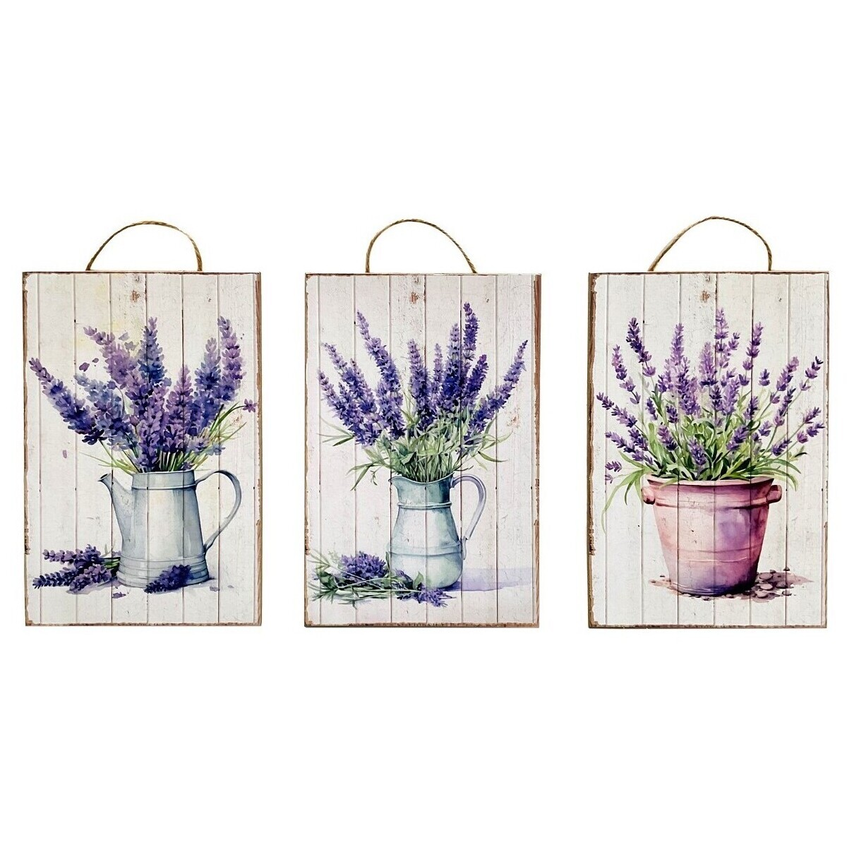 Signes Grimalt  3U Ozdoba  Fialová