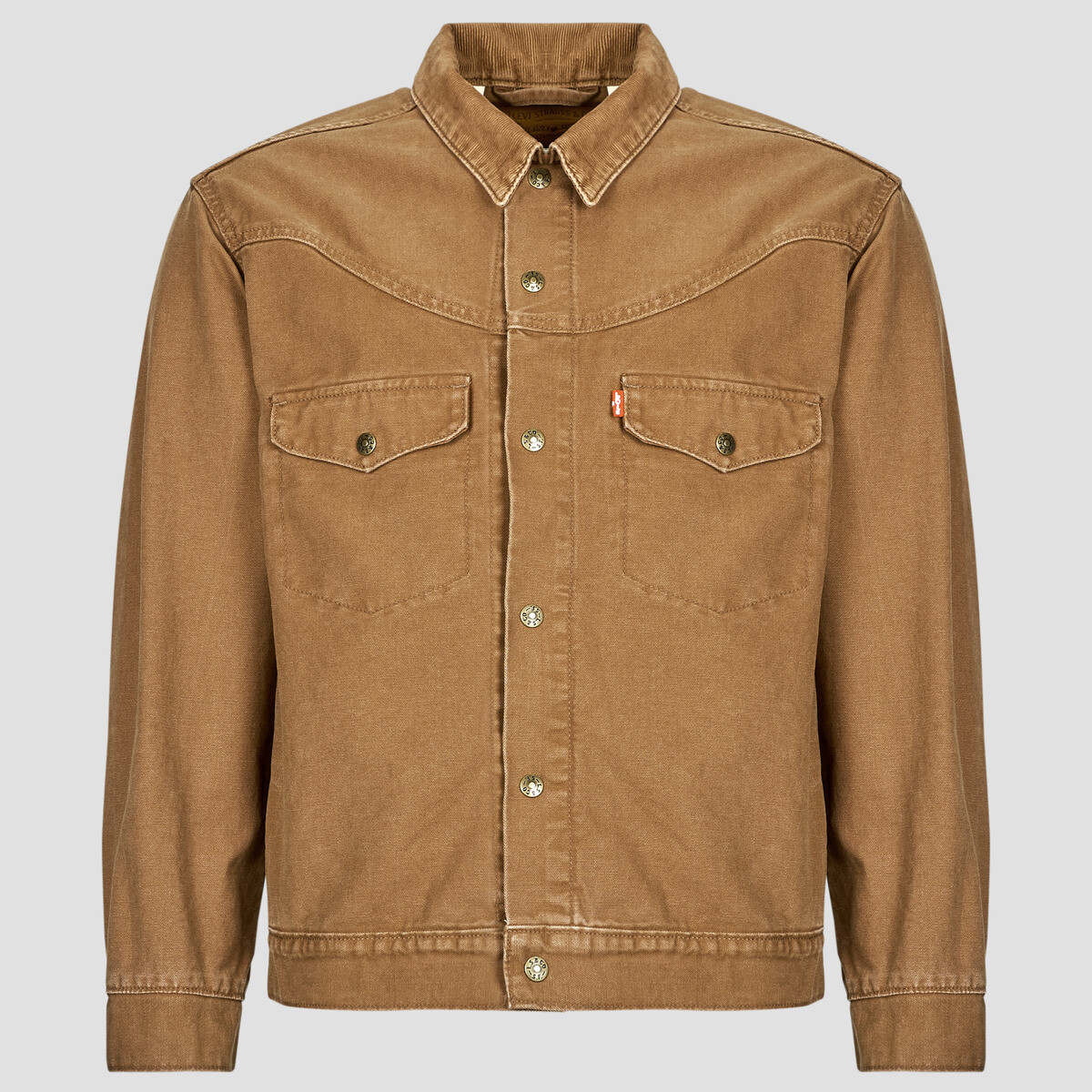 Levis  WESTERN SHORTHORN TRK  Hnědá