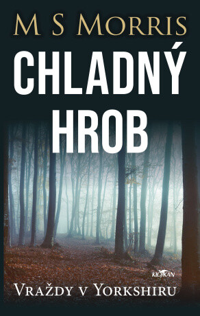 Vraždy v Yorkshiru - Chladný hrob - Boyd Morrison - e-kniha