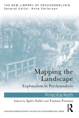 Mapping the Landscape - Priscilla Roth