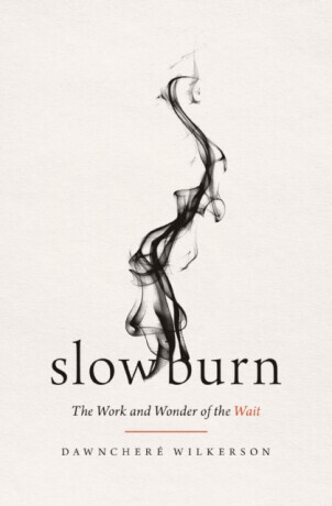 Slow Burn - DawnChere Wilkerson