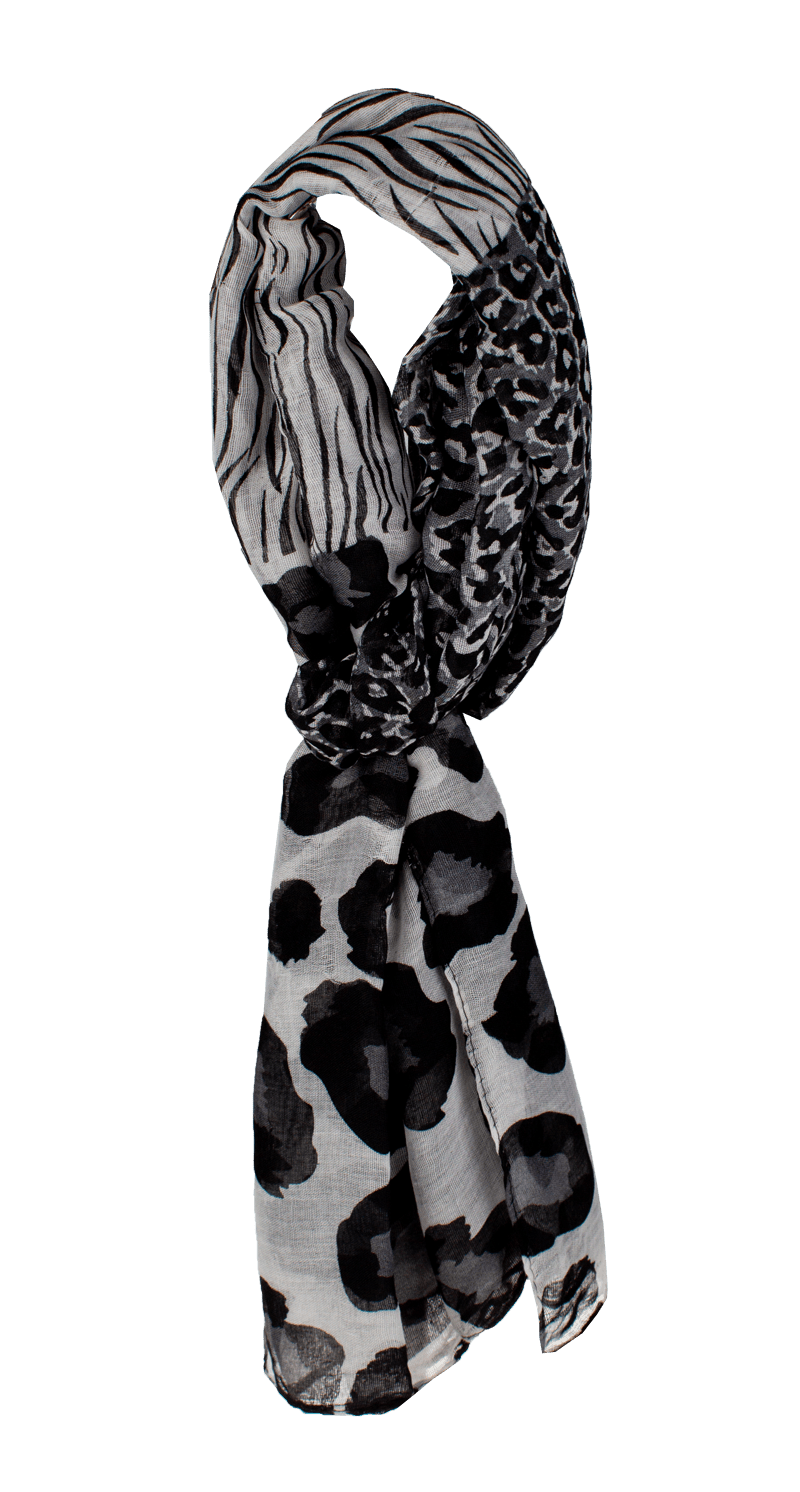 Coveri Collection A50