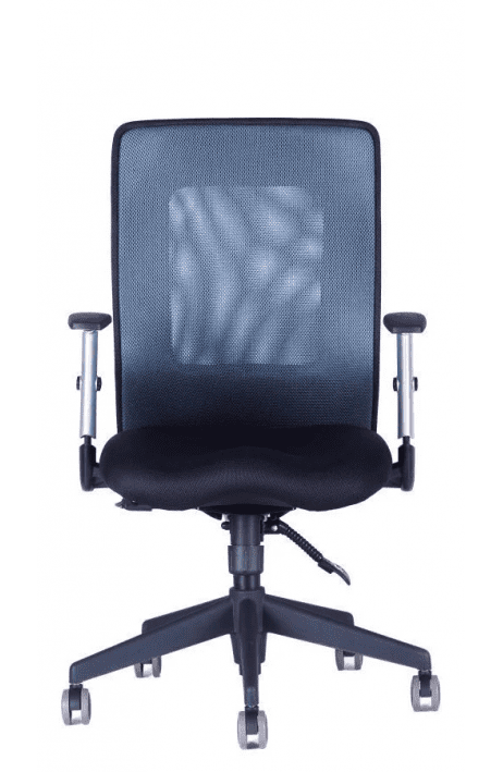 OFFICE PRO kancelářská židle Calypso XL BP antracit