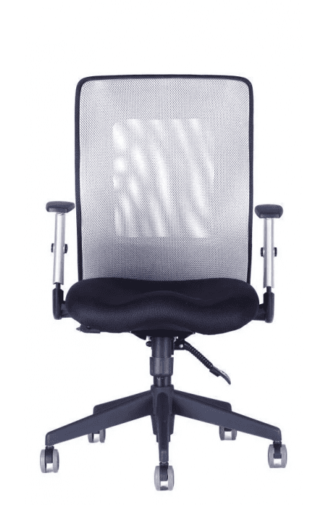 OFFICE PRO kancelářská židle Calypso XL BP šedá