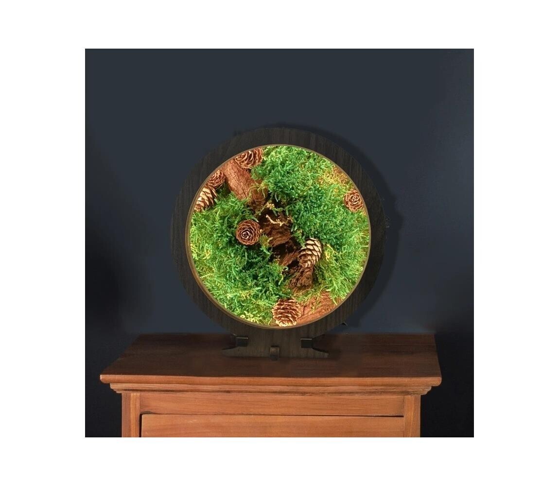 Li-Go 23654 - LED Stmívatelná stolní dekorace LED/12W/230V 20x22 cm mech 23654