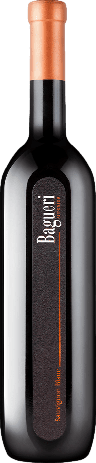 Klet Brda Bagueri Superior Sauvignon Blanc 2021
