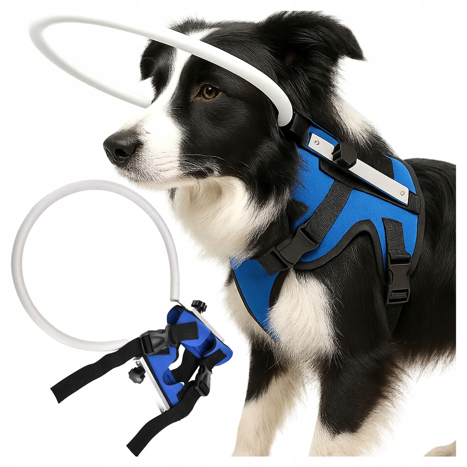 Antikolizní Kroužek pro nevidomého psa Rehabilitační postroj Fazoo M