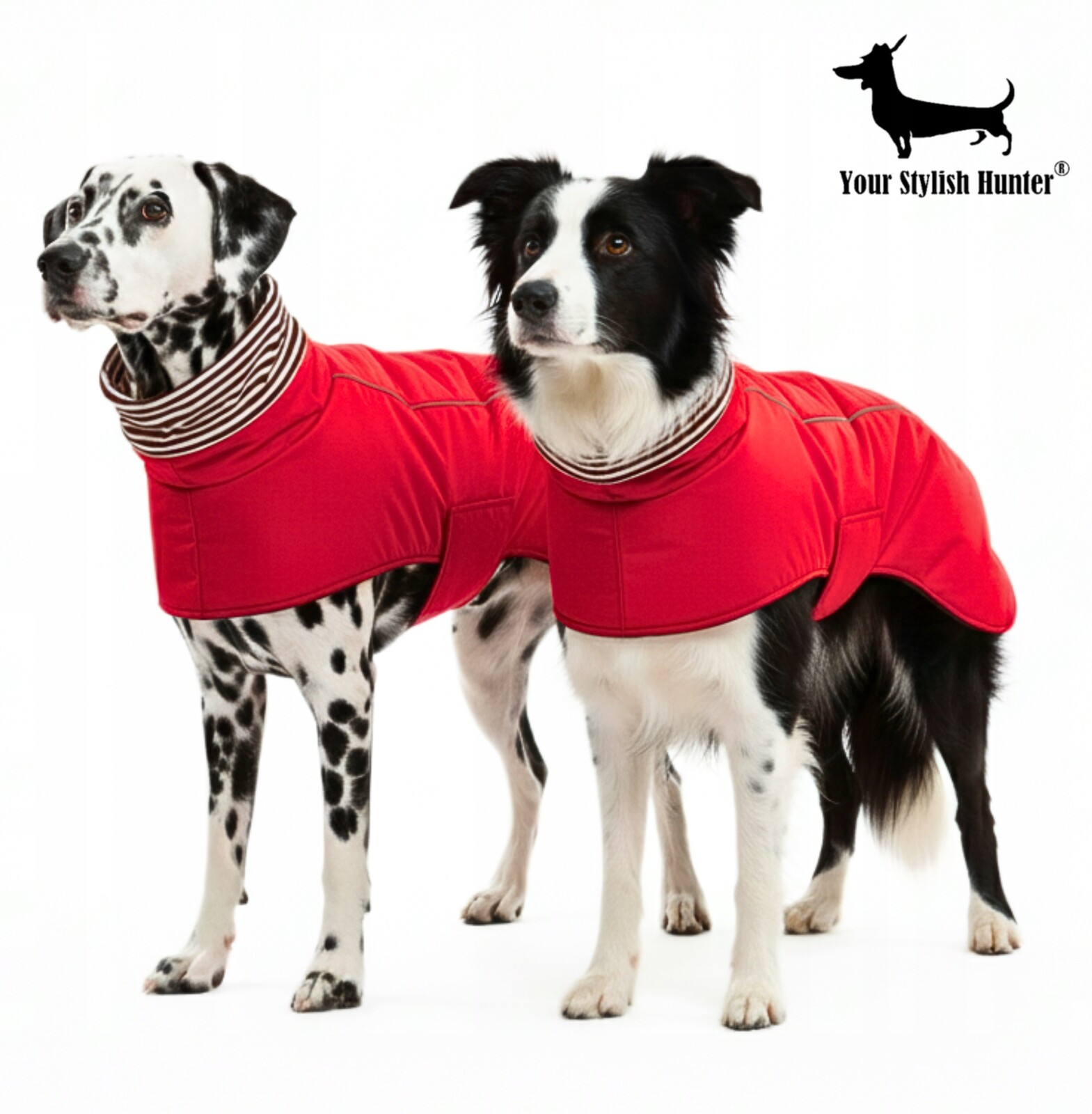 Zimní bunda pro psa, teplé oblečení pro psy středních plemen S