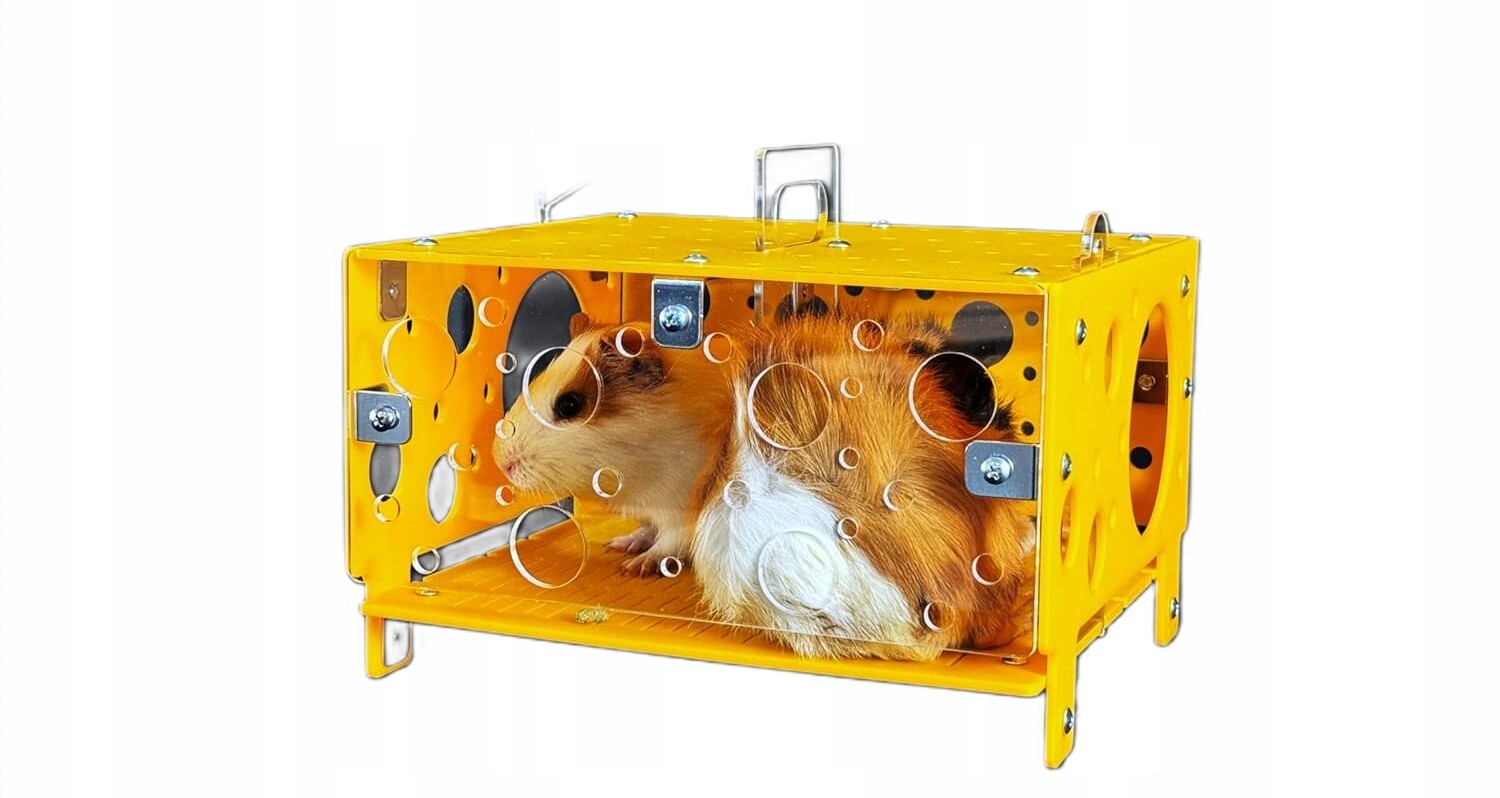 Sýrový domeček pro morčata – pohodlný a bezpečný úkryt