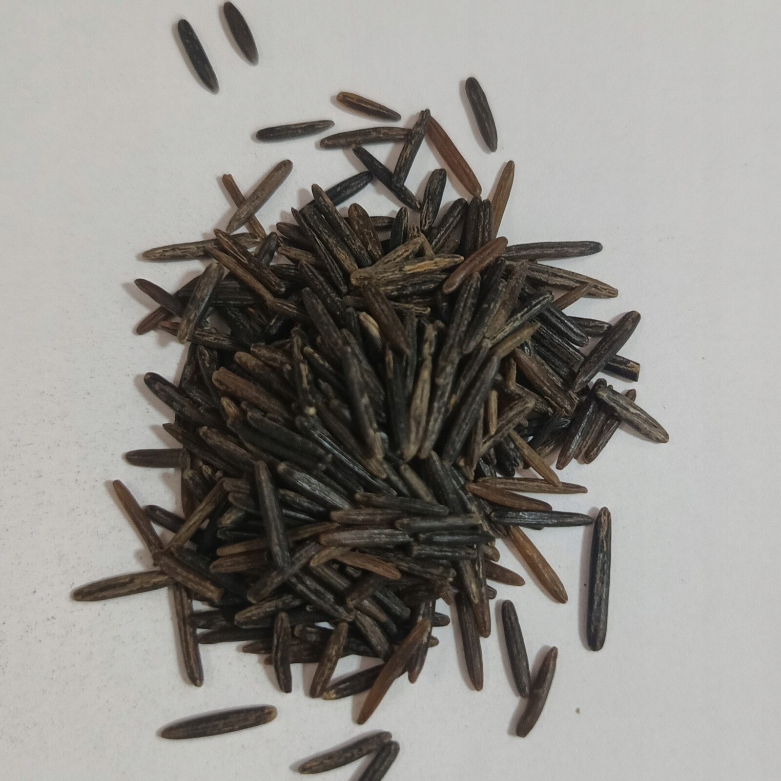 Divoká rýže 1 kg Rafex