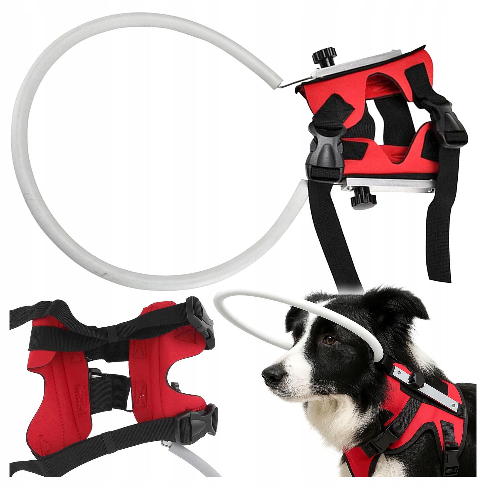 Antikolizní Kroužek pro nevidomého psa Rehabilitační postroj Fazoo S