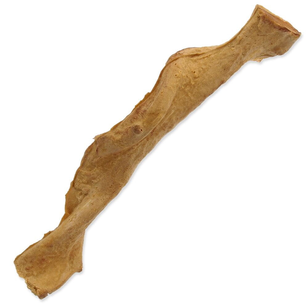 Repti Planet Ozdobná zkroucená liána 30 cm