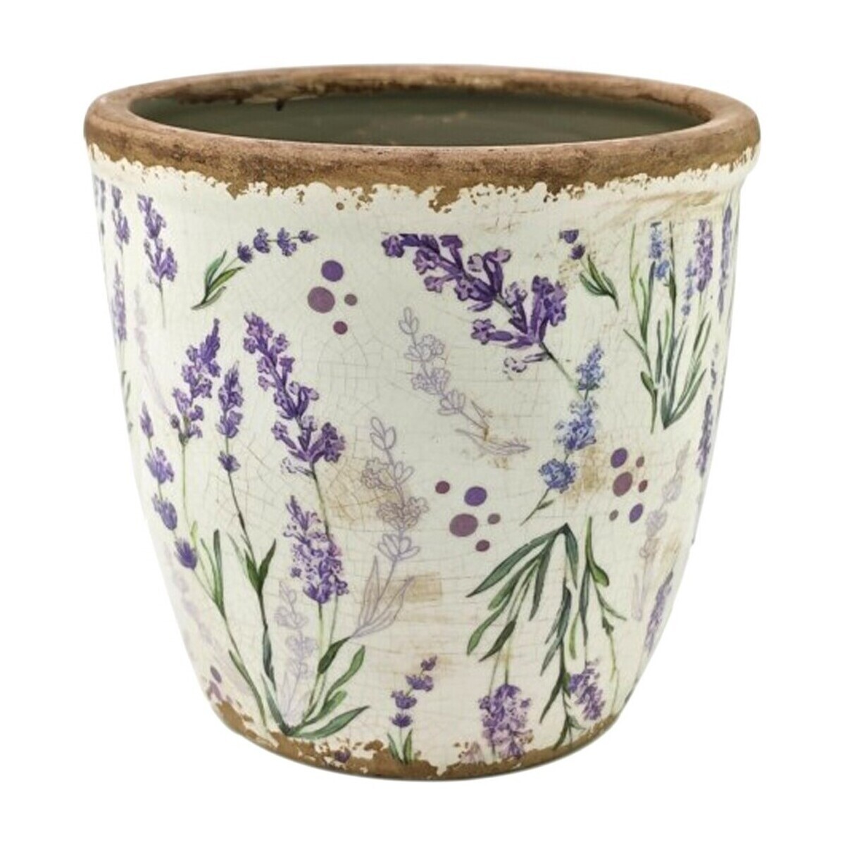 Signes Grimalt  Sázeč Levandule  Bílá