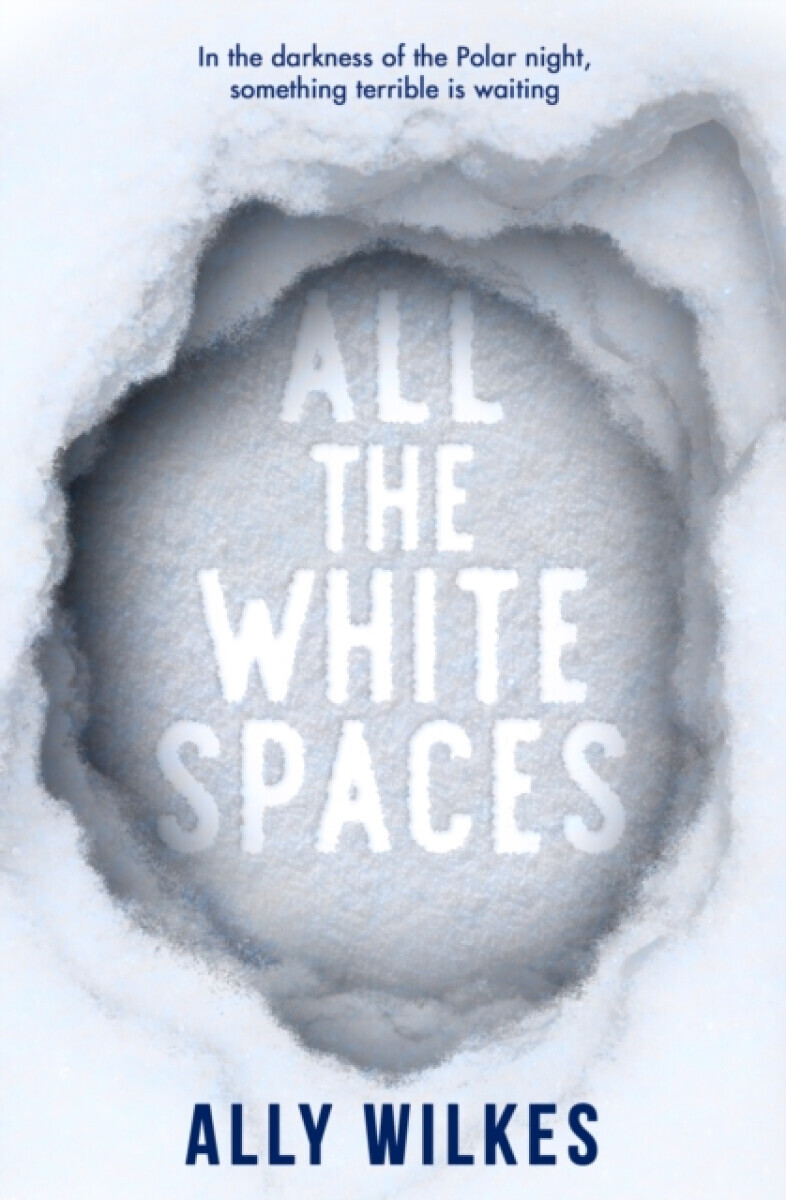 All the White Spaces - Ally Wilkes
