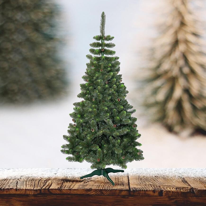 43NC STROMEK BOROVICE ŠIŠKA Z 220 CM