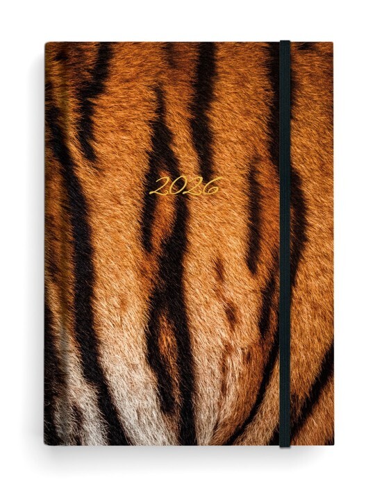 Baloušek Denní diář Adam - Lamino - B6 - Tygr - BDA9-11-26