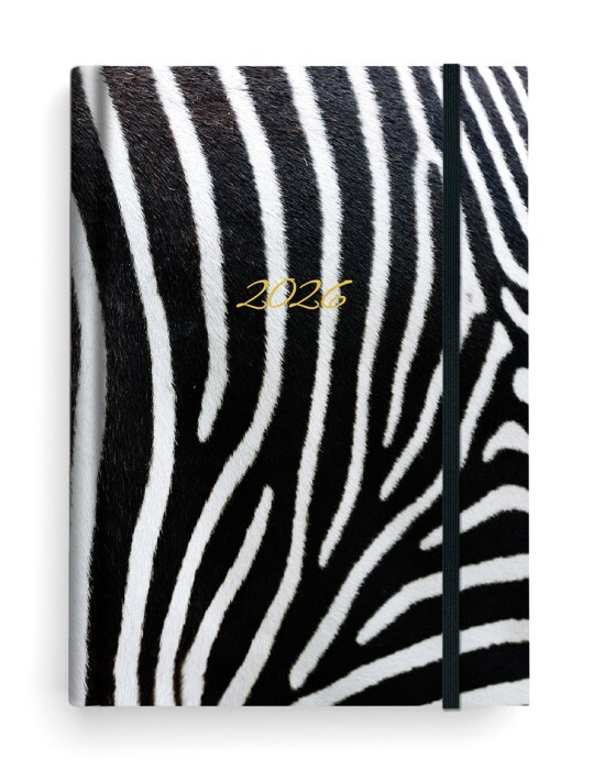Baloušek Denní diář Adam - Lamino - B6 - Zebra - BDA9-12-26