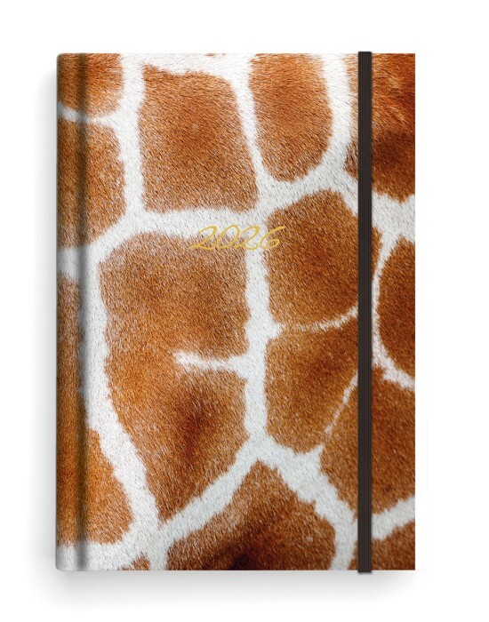 Baloušek Denní diář Adam - Lamino - B6 - Žirafa - BDA9-13-26