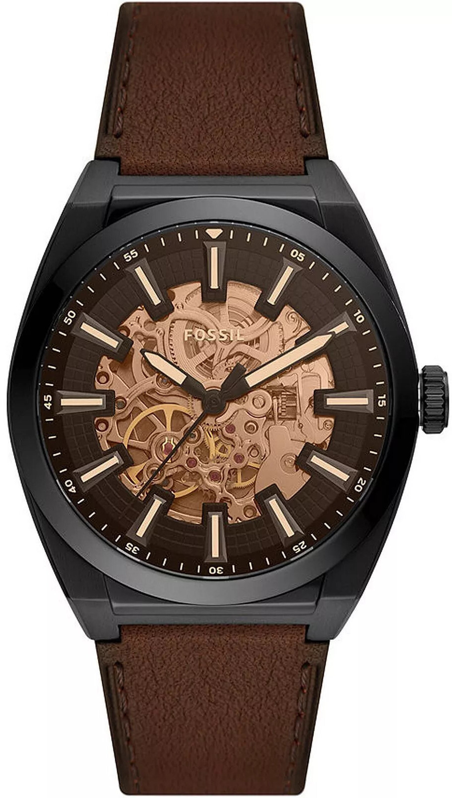 Fossil Everett Skeleton ME3207