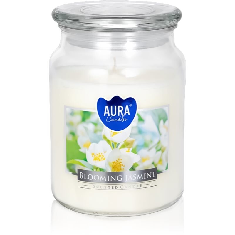 BISPOL Premium Line Jasmine vonná svíčka 500 g