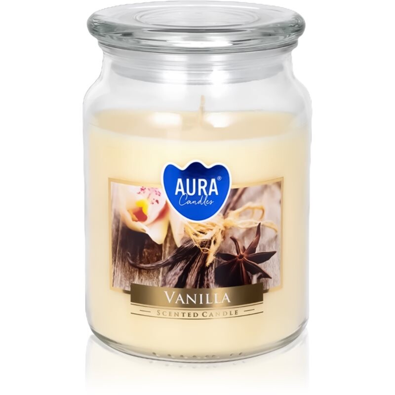 BISPOL Premium Line Vanilla vonná svíčka 500 ml