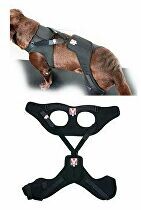 Bandáž Rehab Pro na koleno pro psa KRUUSE XXS levá