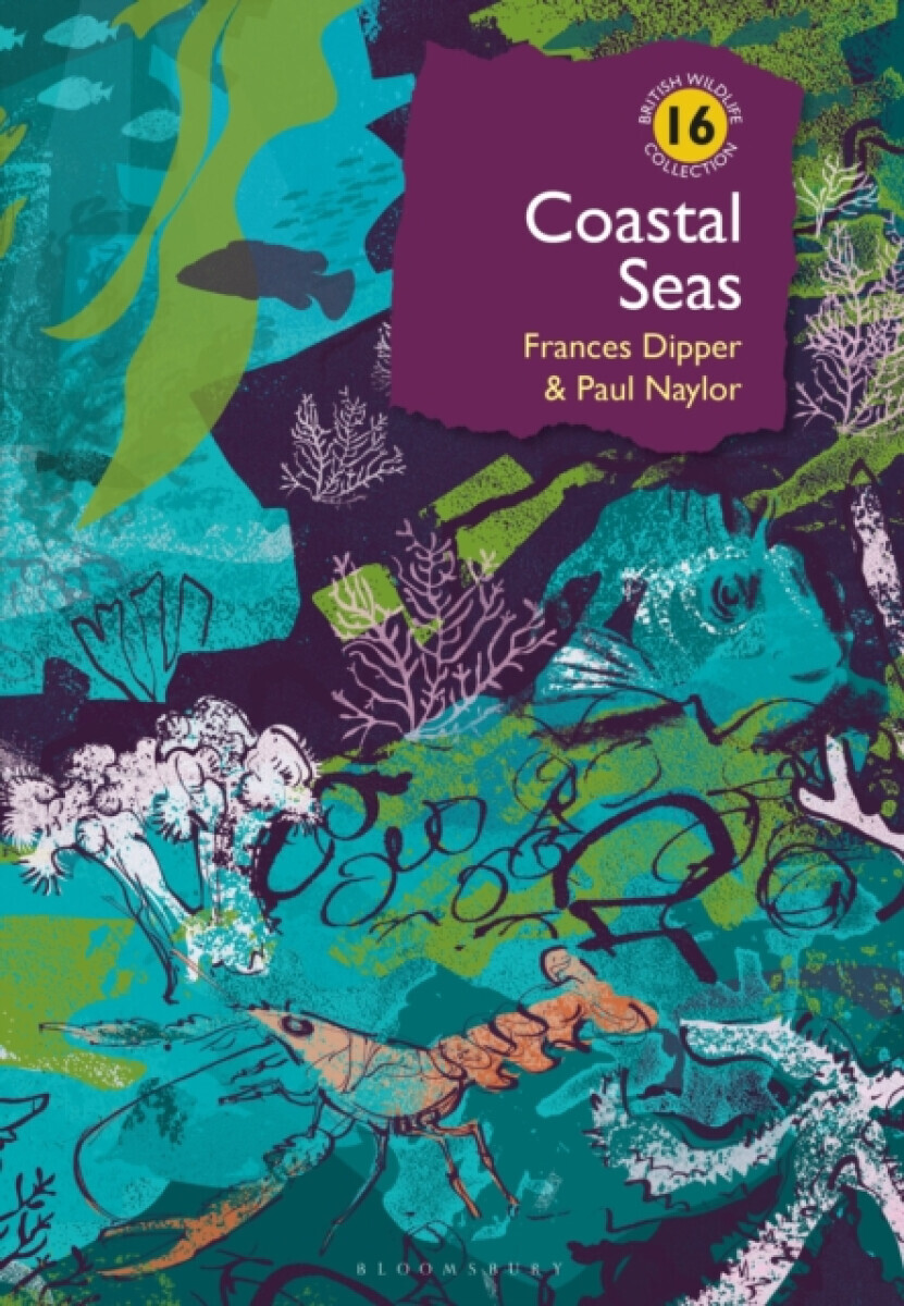 Coastal Seas - Dr Frances Dipper, Dr Paul Naylor