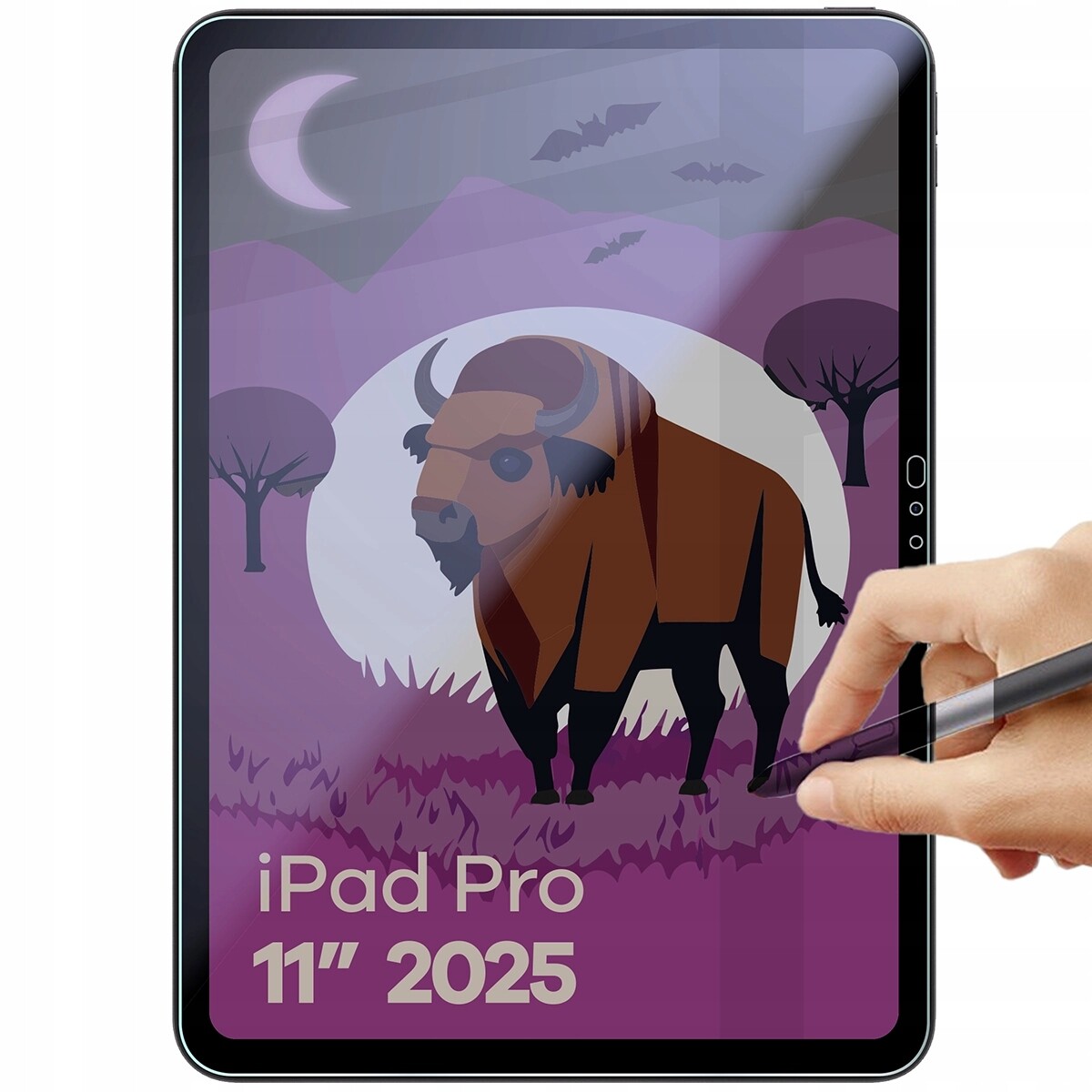 Sklo pro iPad Pro 11