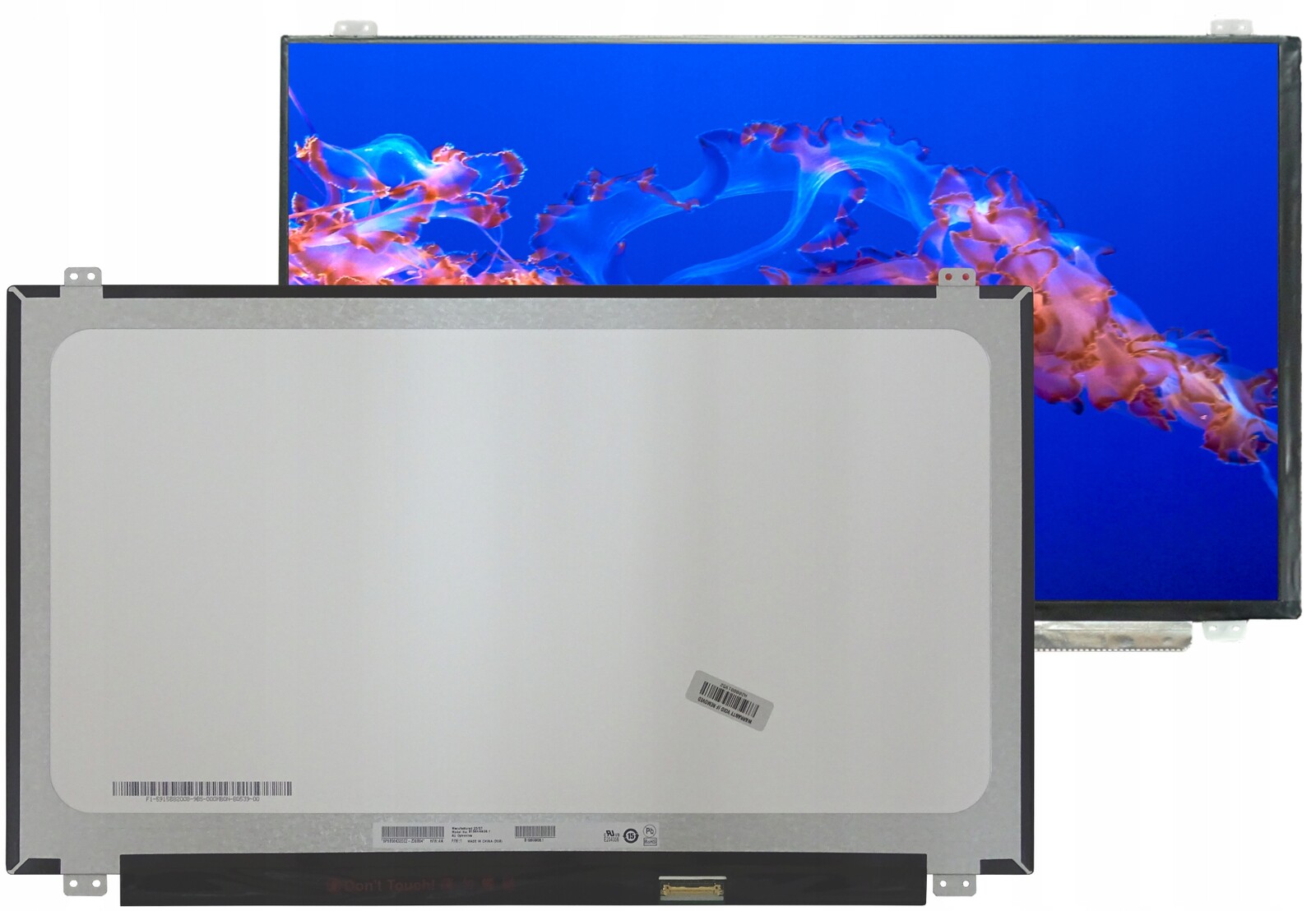 Matice pro Asus Rog GL552V 15,6 Fhd Ips