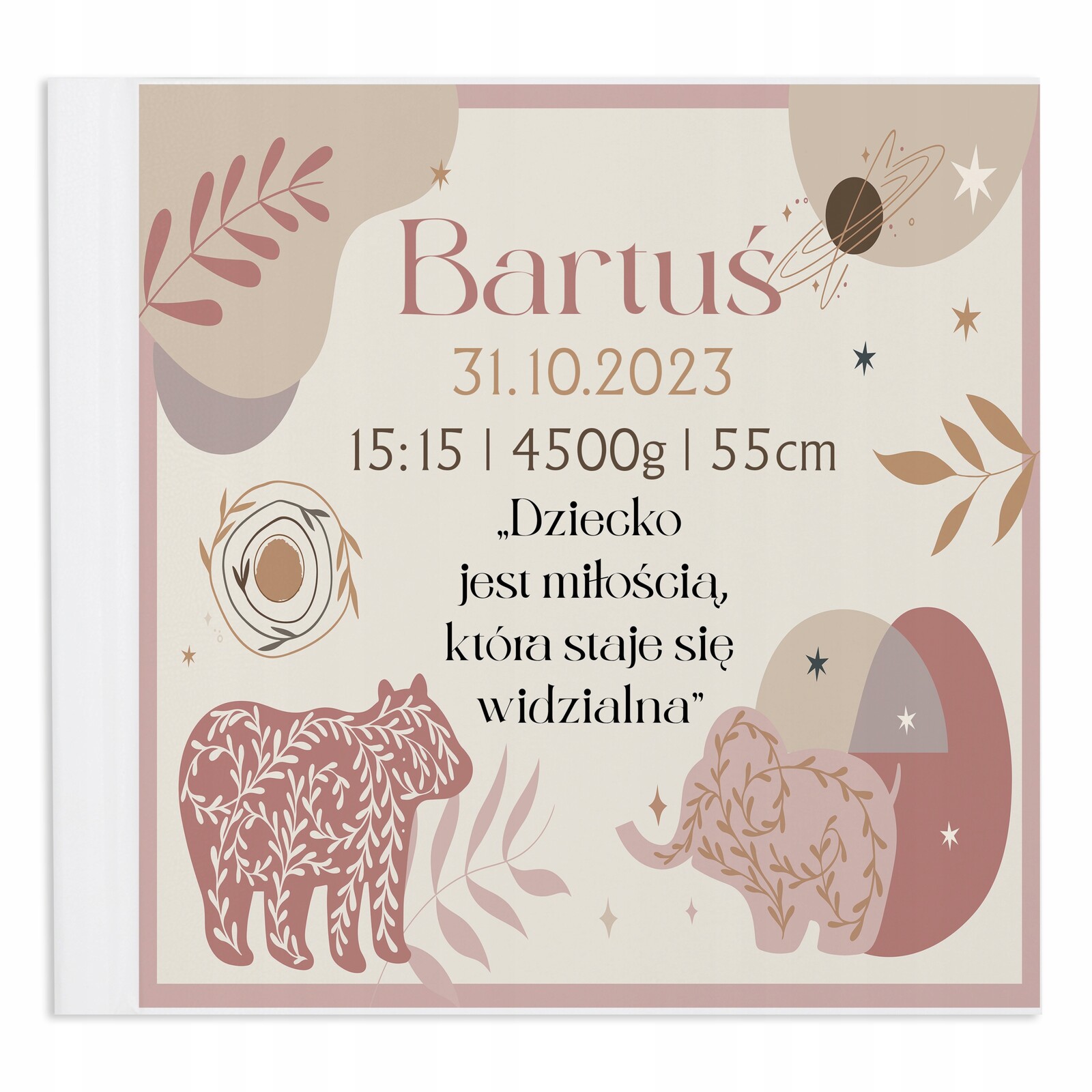 Album Modrý Na Fotografie Dárek Roček Narozeniny Metrička Jméno Vzory