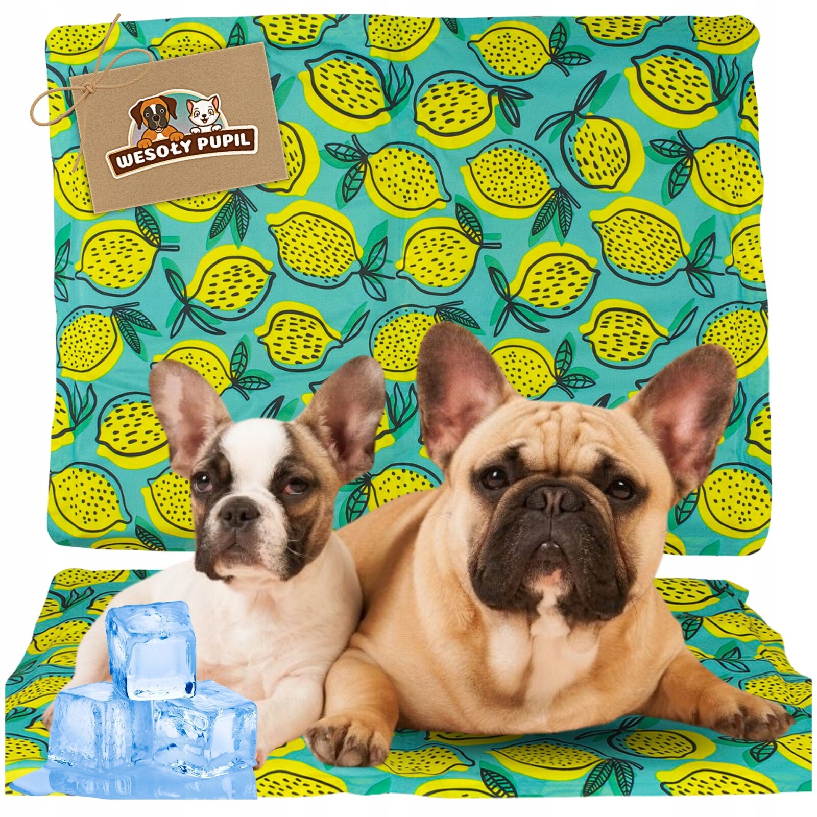 Wesoły Pupil podložka pro psa, vícebarevná, 50 cm x 40 cm