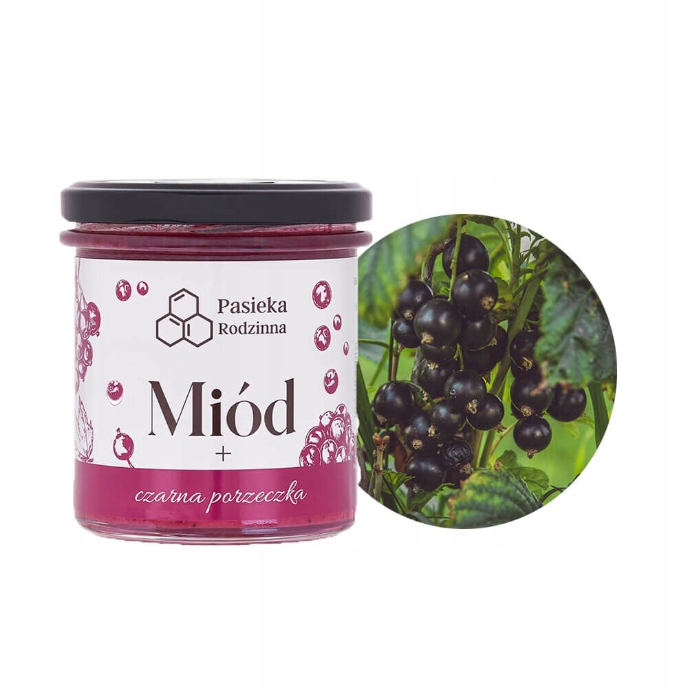 2x Pasieka Rodzinna Med s černým rybízem 410 g
