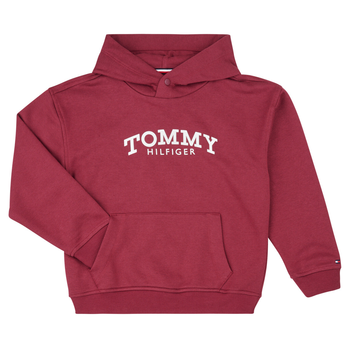 Tommy Hilfiger  MONOTYPE PRINT HOODIE  Bordó